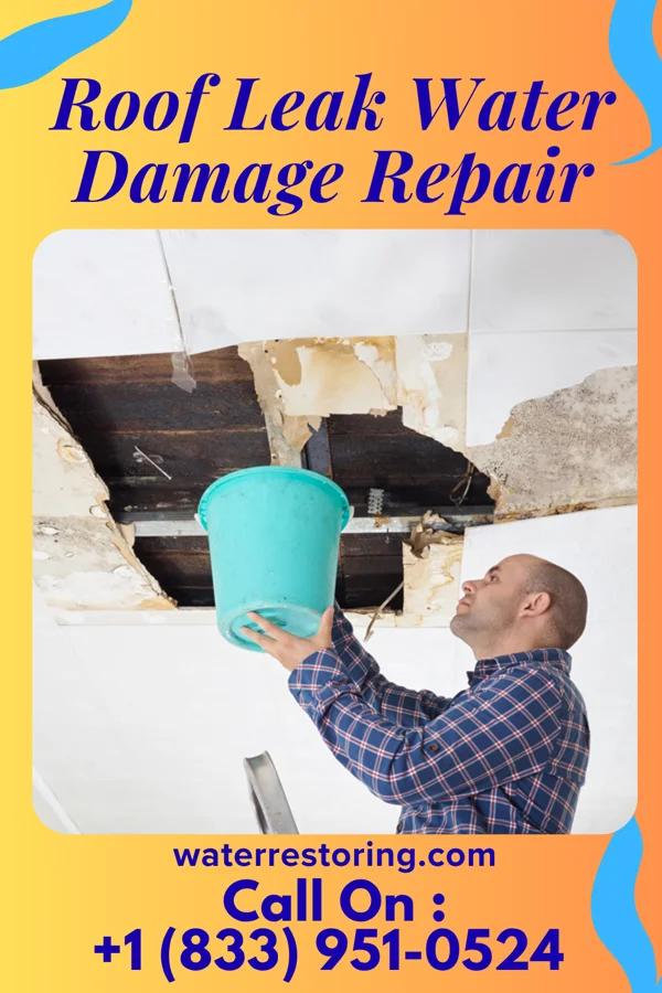 Roof Leak Water Damage Repair in Northwood, IA