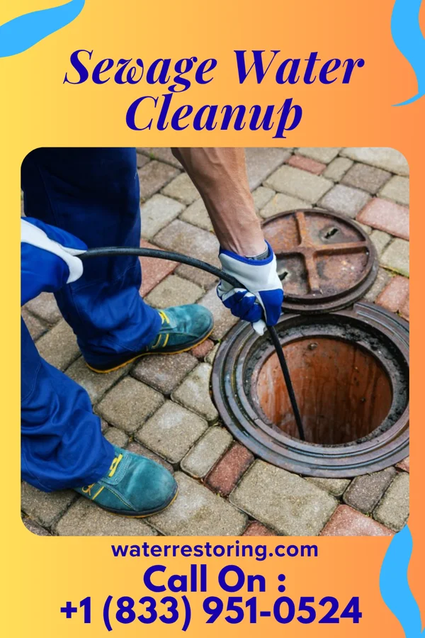 Sewage Water Cleanup in Northwood, IA